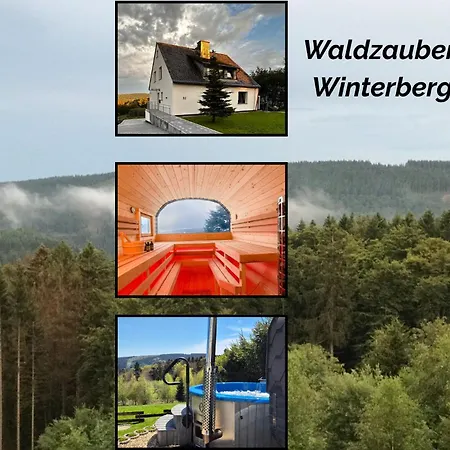 Luxus-Ferienhaus Mit Sauna, Hot Tub Und Grandiosem Panorama Winterberg Exterior photo