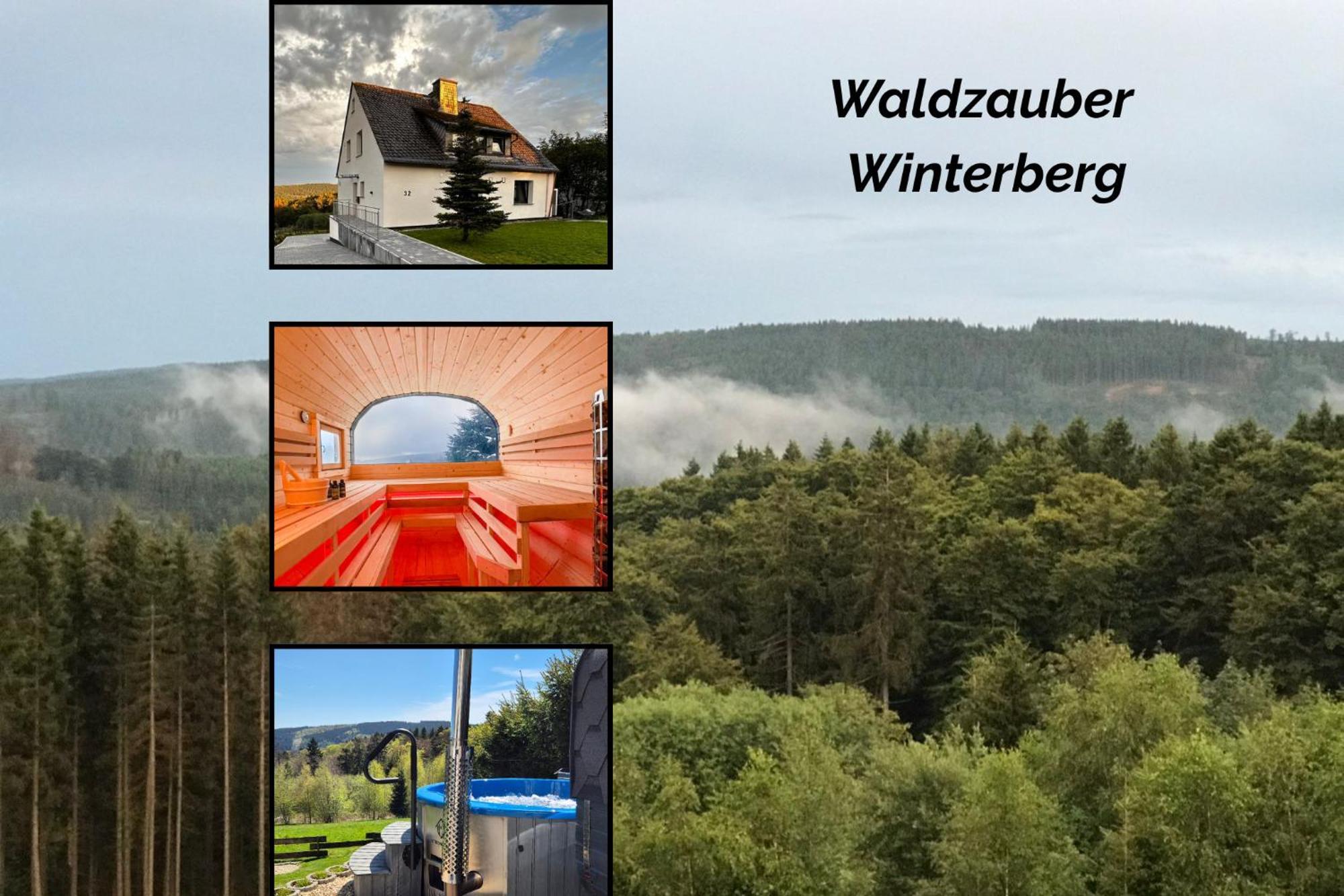 Luxus-ferienhaus Mit Sauna, Hot Tub Und Grandiosem Panorama